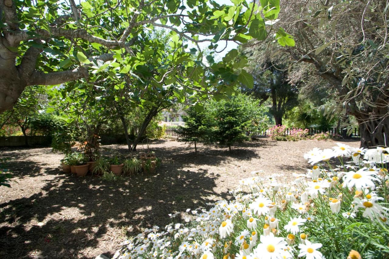 Villas Alexandra Skiathos Platanias  Экстерьер фото