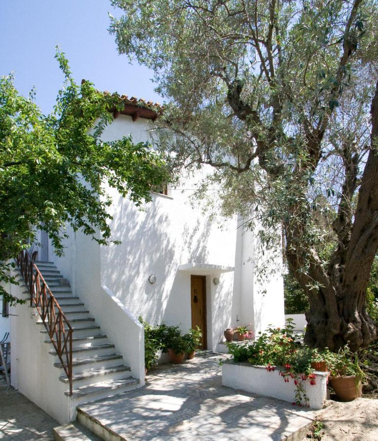 Villas Alexandra Skiathos Platanias  Экстерьер фото